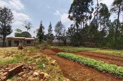 Prime 0.5 acre land for sale in loresho