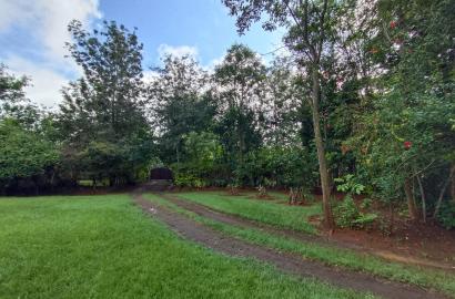 prime 0.5 acre residential land for sale in karen Plains