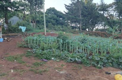 Prime 0.2 acre commercial plot for sale in Ngong