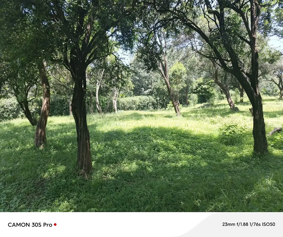 0.5 acre prime residential land for sale in karen