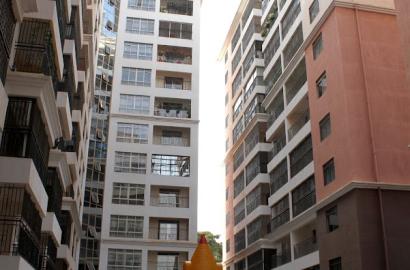 2 bedroomed penthouse plus SQ to let in Lavington